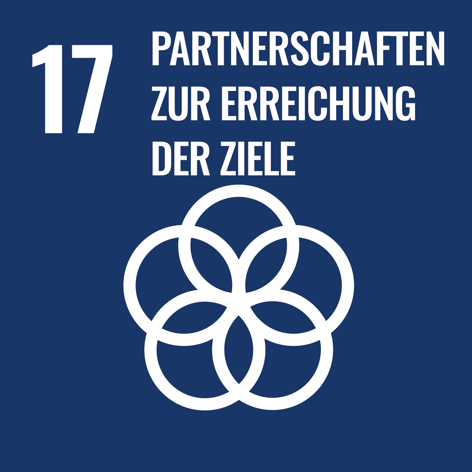 SDG 17: Partnerschaften zur Erreichung der Ziele
