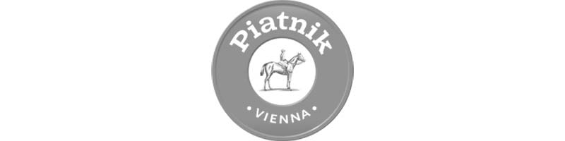 dddw-Piatnik-logo