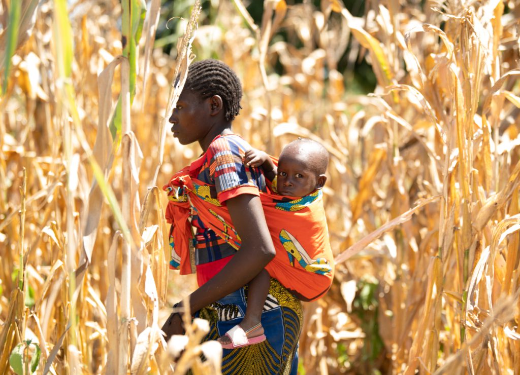 Eine Frau trägt ein mangelernährtes Kind in einem Feld in Malawi.