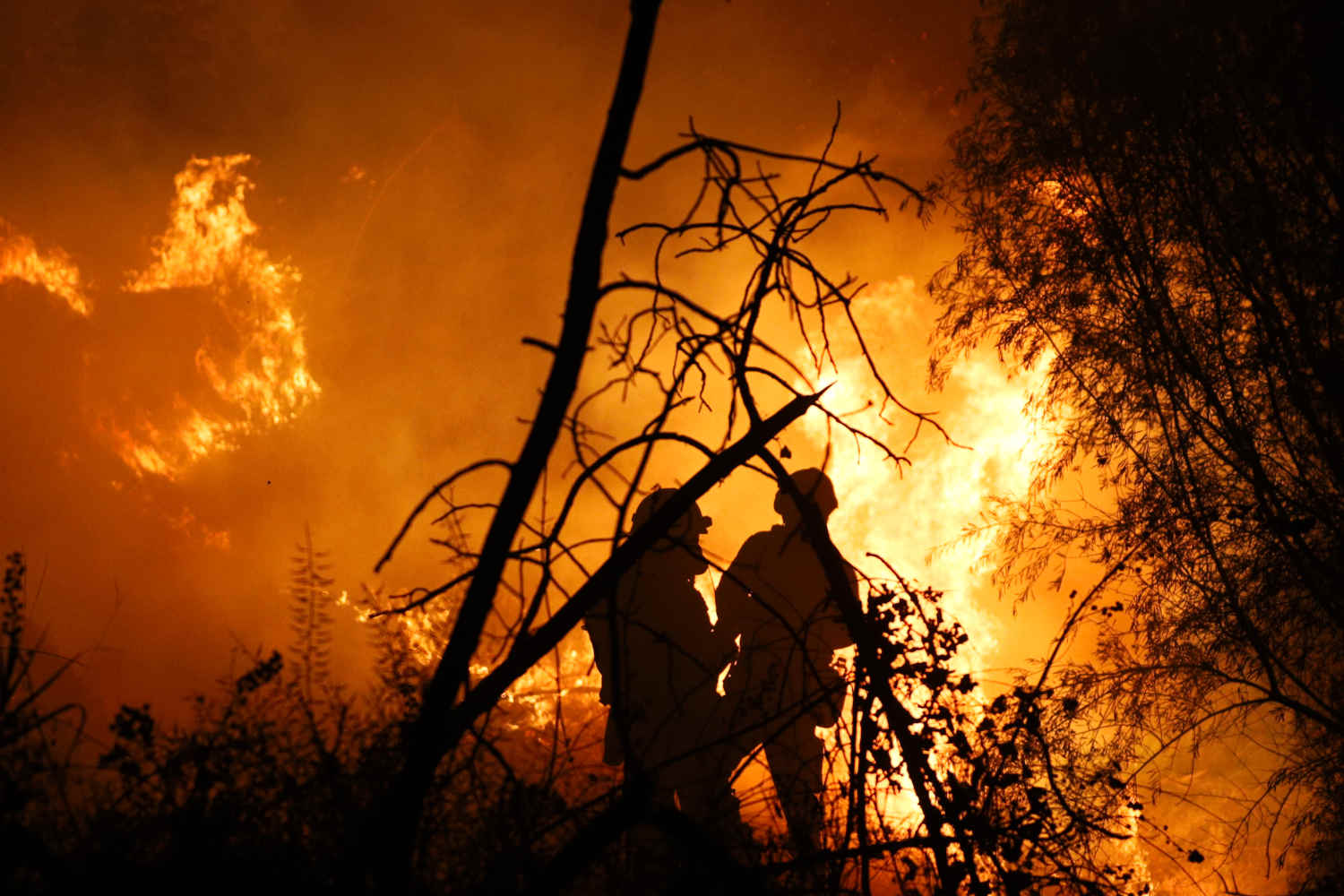 Feuerwehrleute kämpfen gegen Waldbrand in Griechenland.